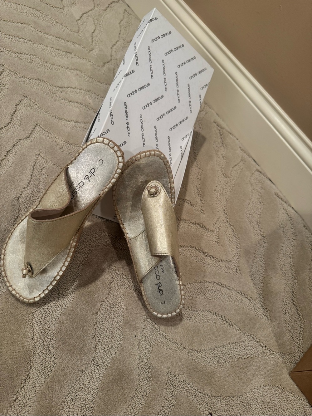 Andre Assous Metallic Champagne Wedge Heel Slip-On Thong Sandals